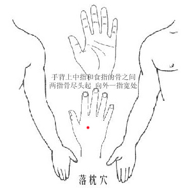 穴位圖
